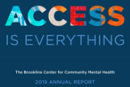 Navy blue report cover with the word "Access" spelled out in multi-colored photographic type